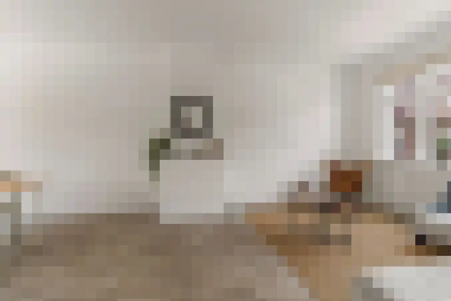 Snipstraat 12 BS Utrecht thumbnail 6