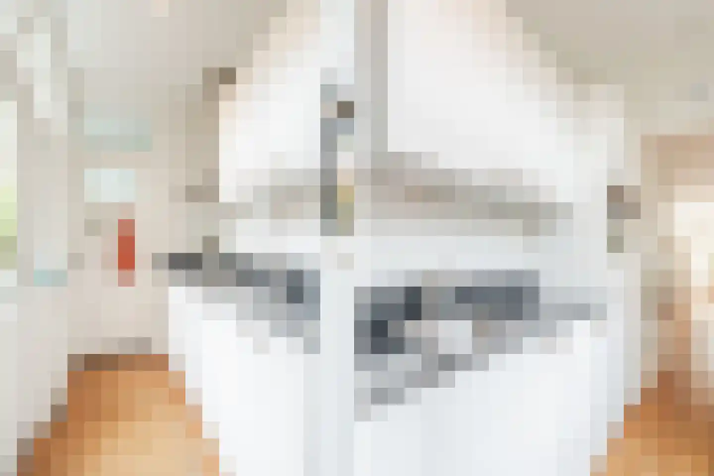 Snipstraat 13 Utrecht thumbnail 10