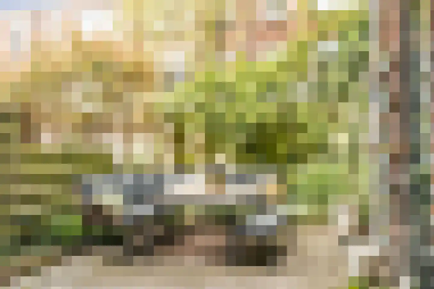 Snipstraat 13 Utrecht thumbnail 19