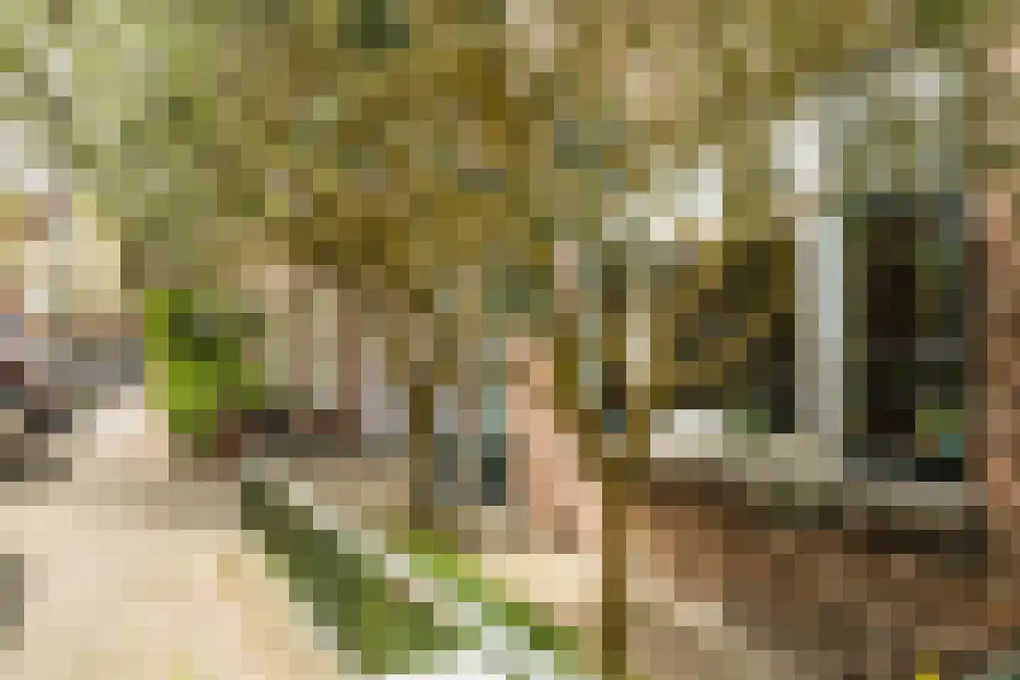 Snipstraat 13 Utrecht thumbnail 21