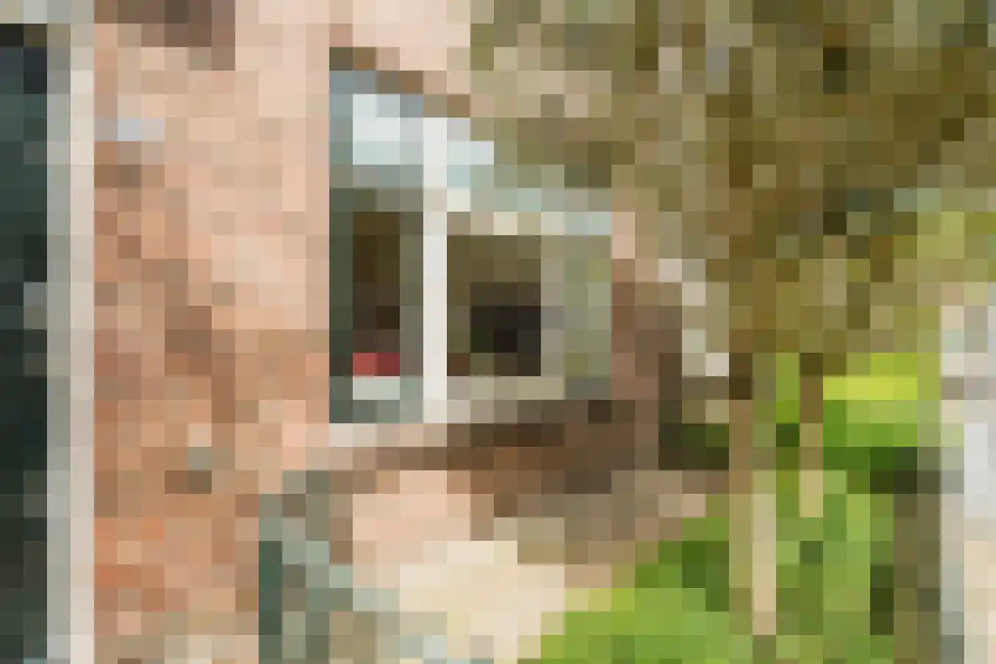 Snipstraat 13 Utrecht thumbnail 22