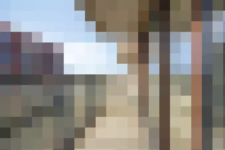 Snipstraat 146 Veenendaal thumbnail 22