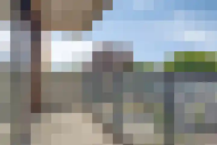Snipstraat 146 Veenendaal thumbnail 23