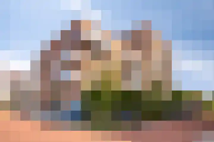 Snipstraat 146 Veenendaal thumbnail 26