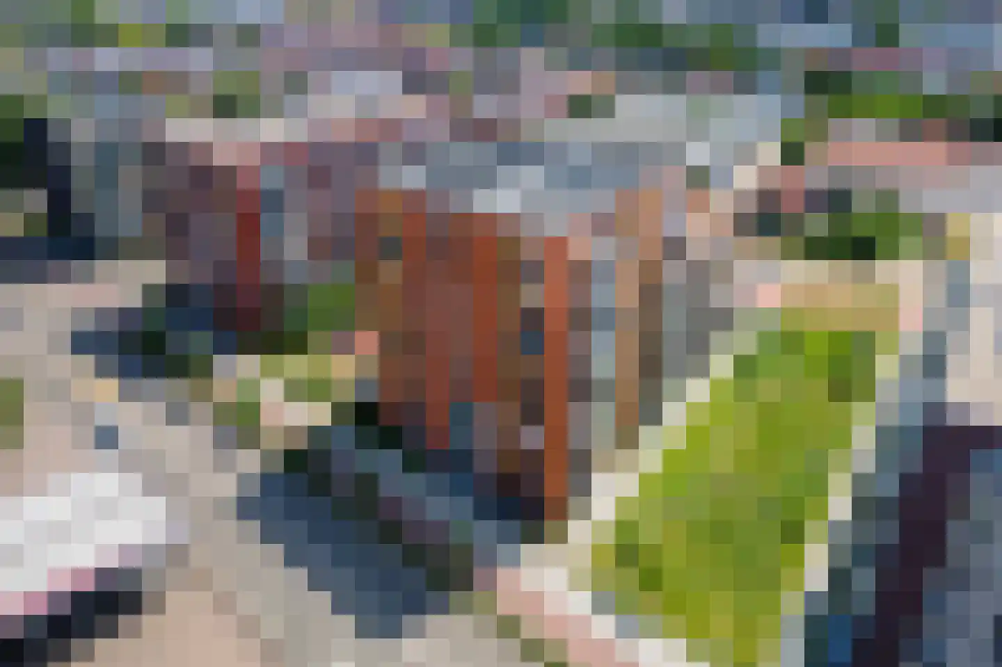 Snipstraat 156 Veenendaal thumbnail 23