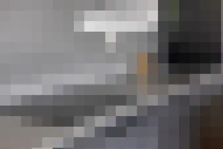 Snipstraat 162 Veenendaal thumbnail 11