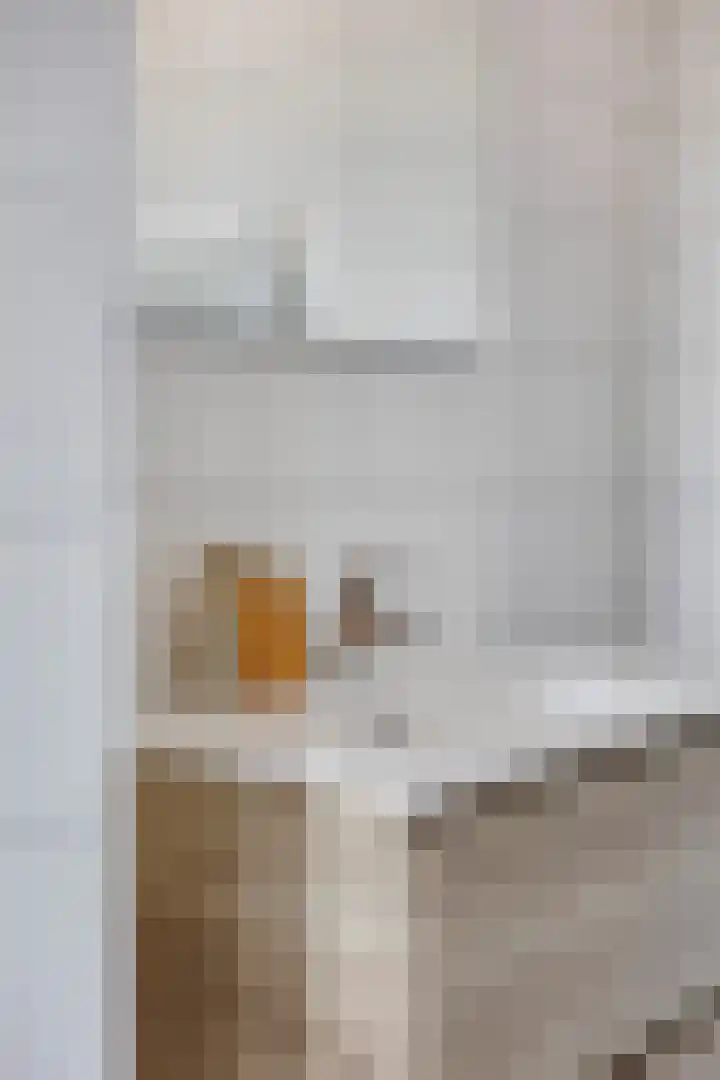 Snipstraat 162 Veenendaal thumbnail 18