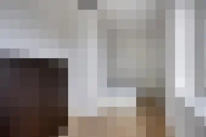 Snipstraat 162 Veenendaal thumbnail 20