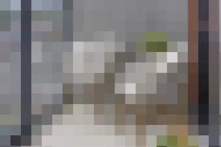 Snipstraat 162 Veenendaal thumbnail 24
