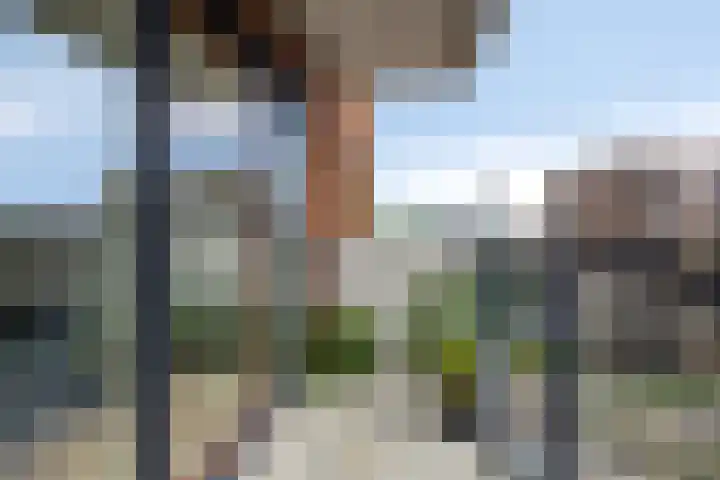 Snipstraat 162 Veenendaal thumbnail 25