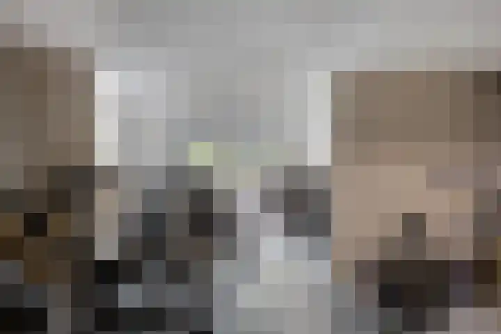 Snipstraat 162 Veenendaal thumbnail 27