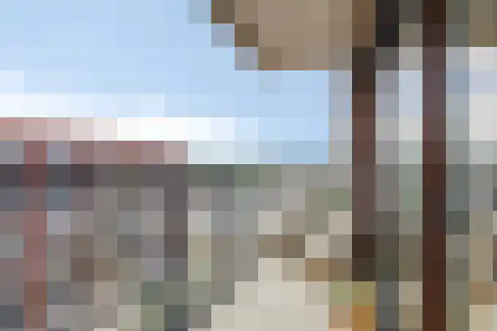 Snipstraat 162 Veenendaal thumbnail 5