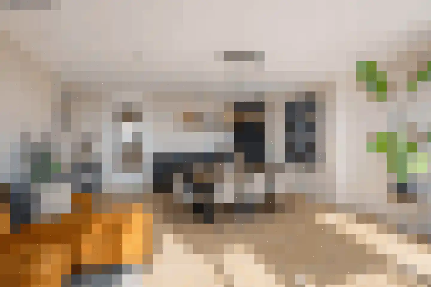 Snipstraat 170 Veenendaal thumbnail 10