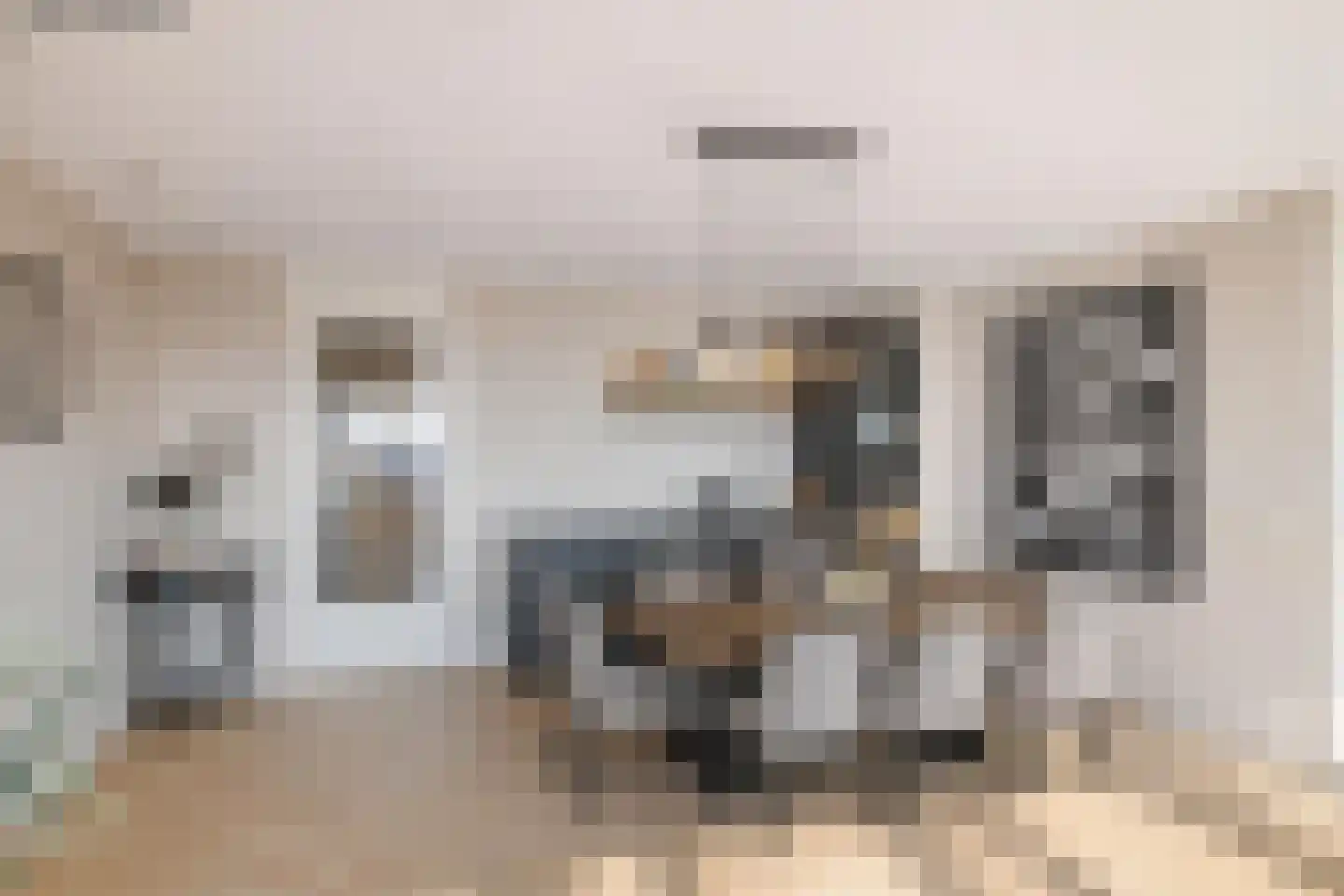 Snipstraat 170 Veenendaal thumbnail 11