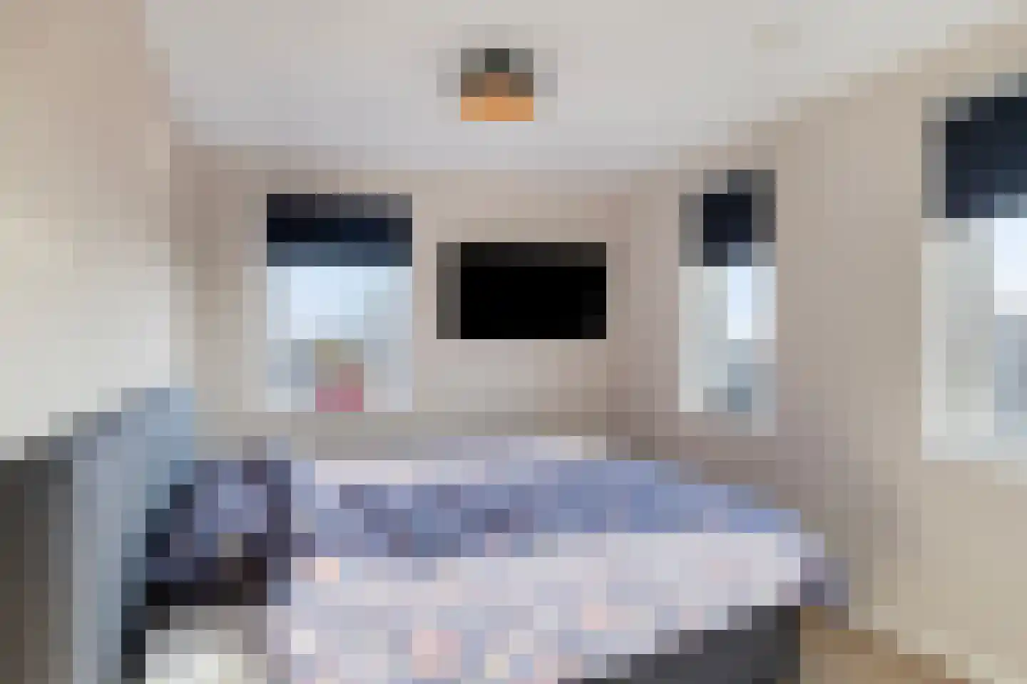 Snipstraat 170 Veenendaal thumbnail 15