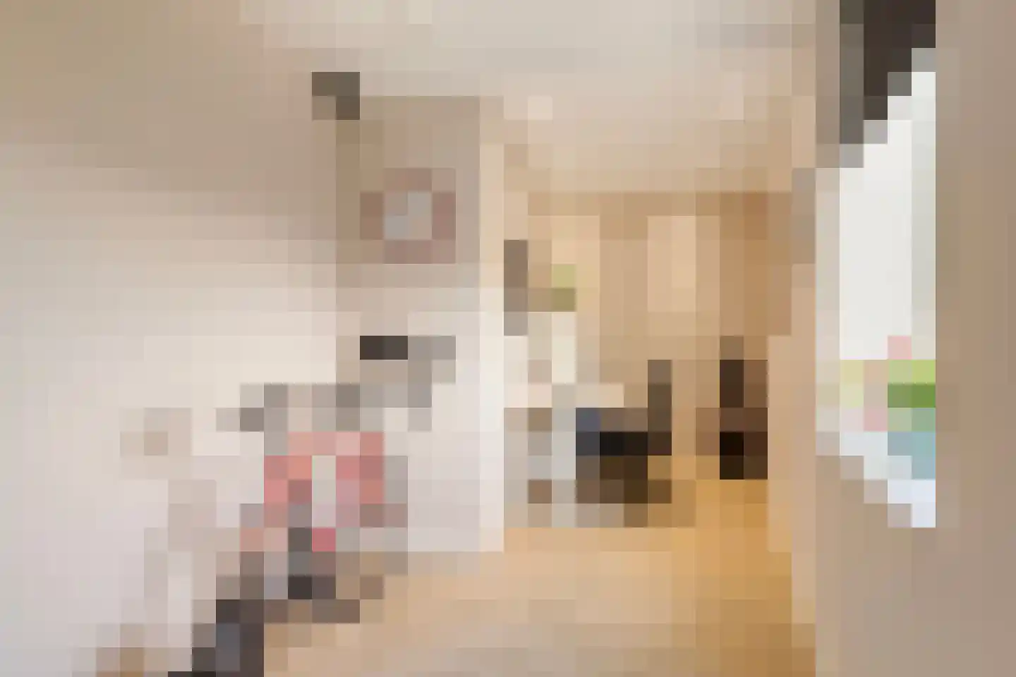 Snipstraat 170 Veenendaal thumbnail 17