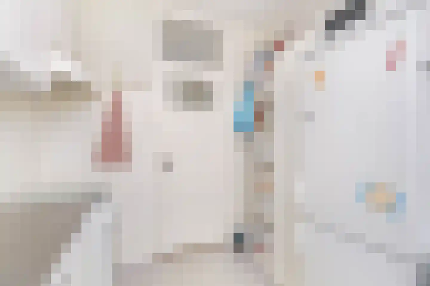 Snipstraat 19 BS Utrecht thumbnail 11