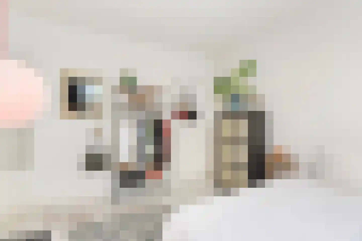 Snipstraat 19 BS Utrecht thumbnail 17