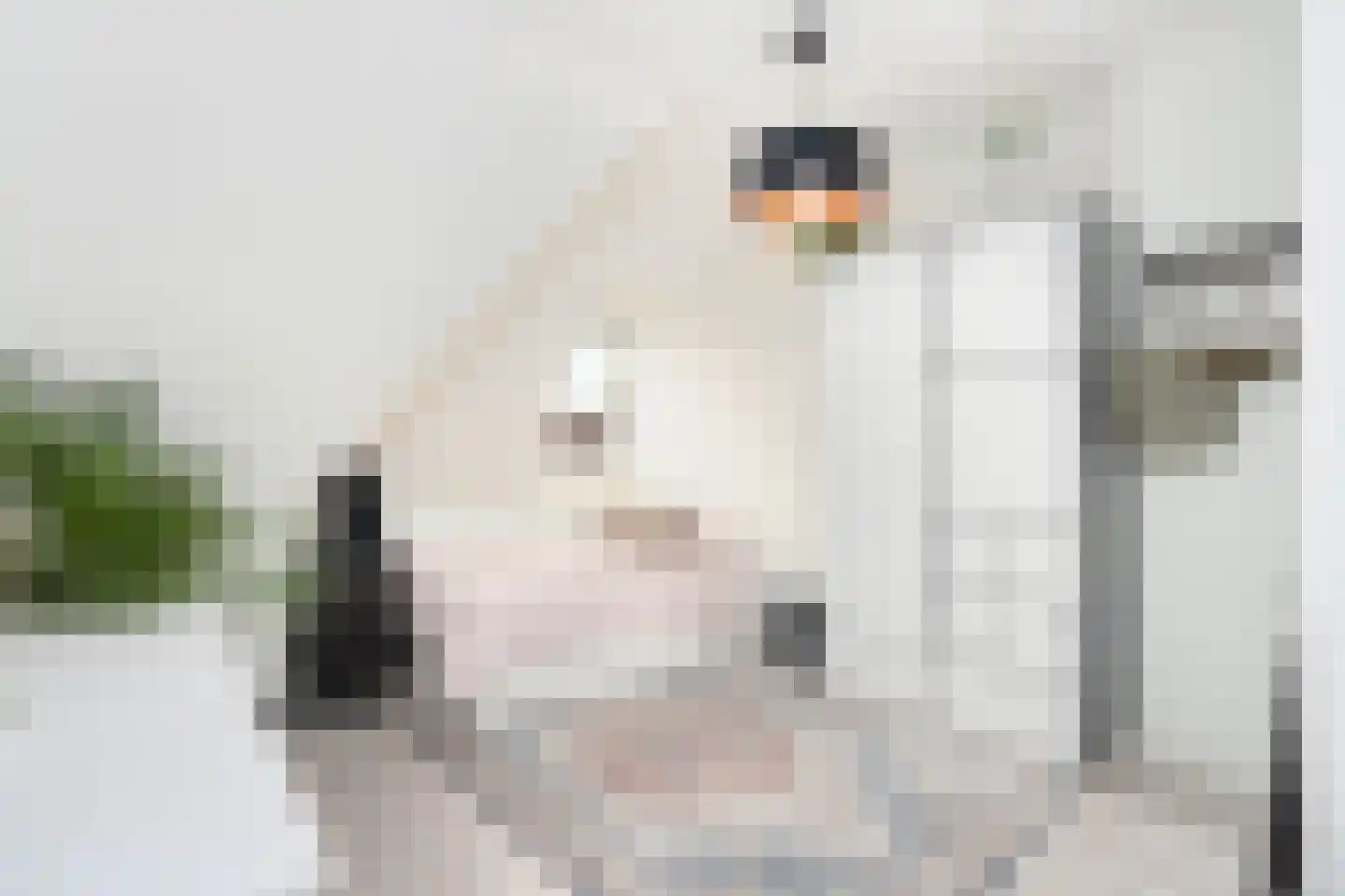 Snipstraat 19 BS Utrecht thumbnail 18