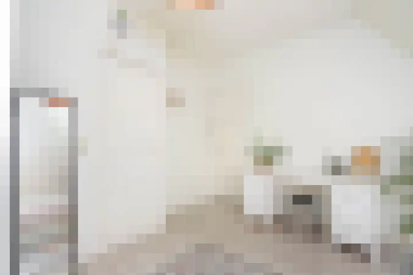 Snipstraat 19 BS Utrecht thumbnail 19