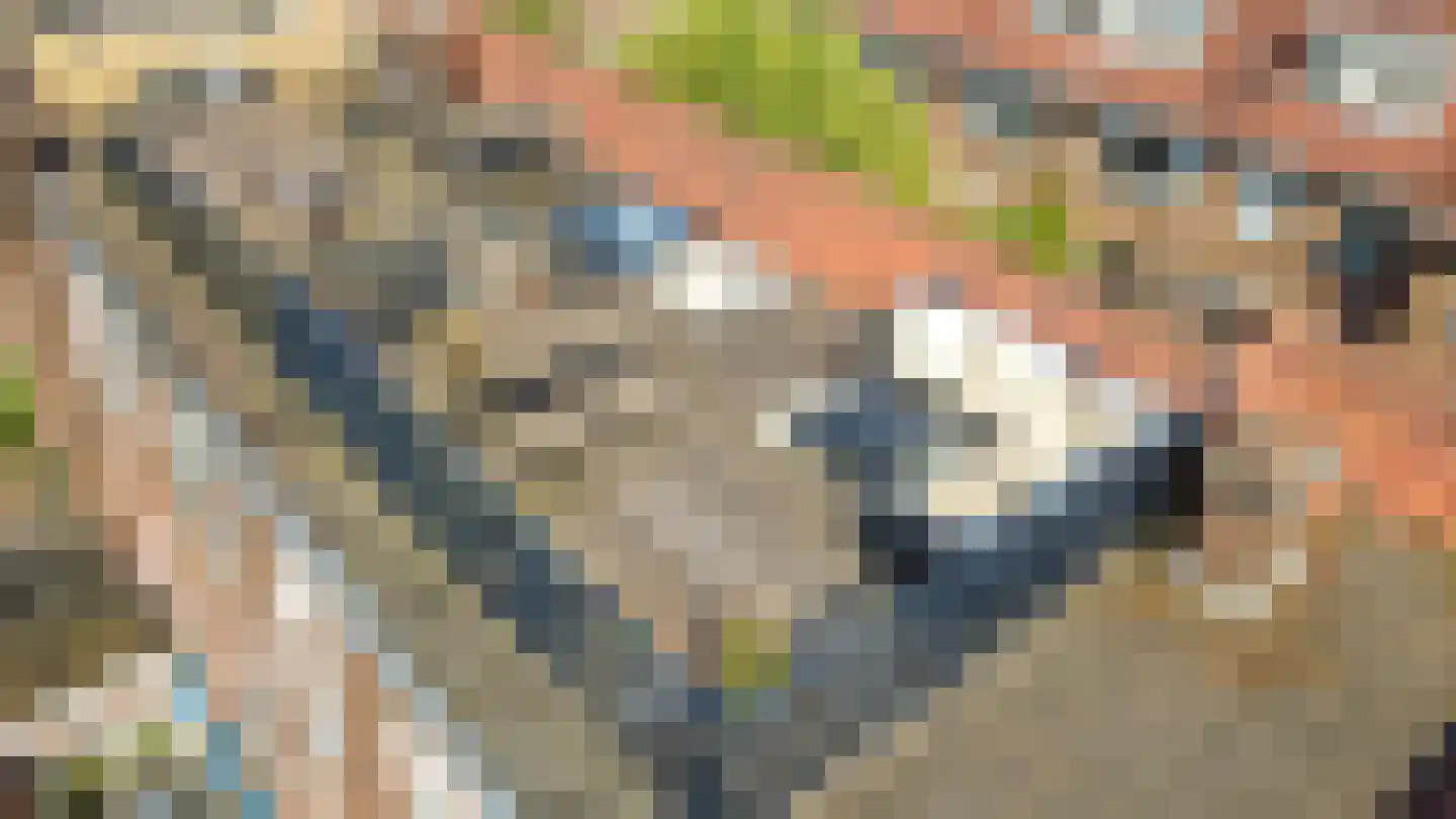 Snipstraat 19 BS Utrecht thumbnail 25