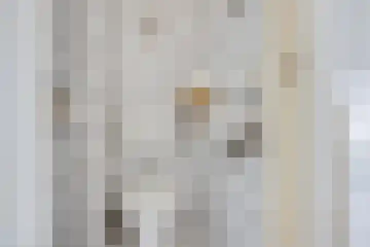 Snipstraat 19 Utrecht thumbnail 18