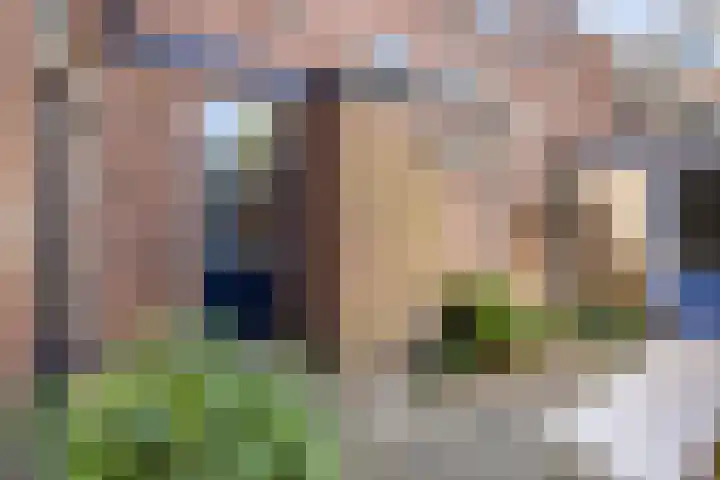 Snipstraat 19 Utrecht thumbnail 24