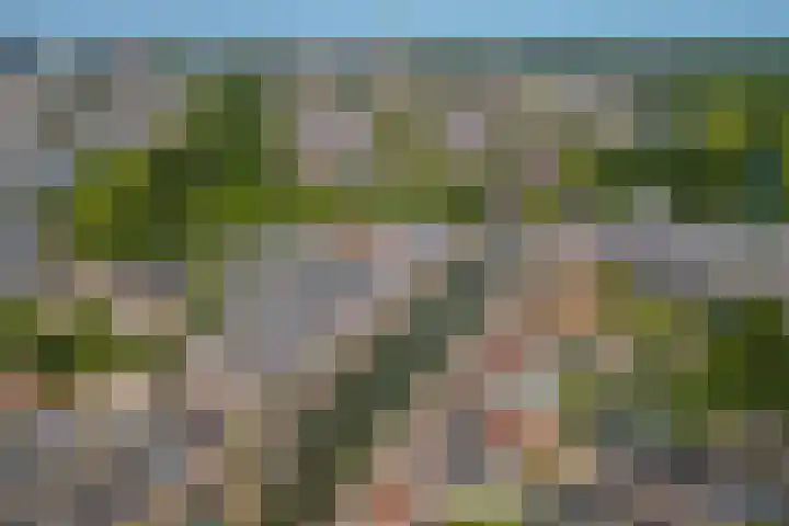 Snipstraat 19 Utrecht thumbnail 28