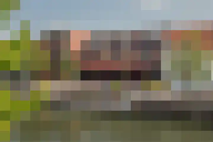 Snipstraat 19 Utrecht thumbnail 32