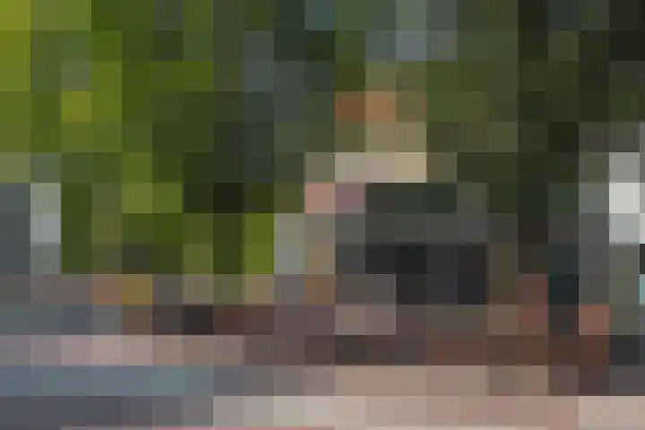 Snipstraat 19 Utrecht thumbnail 36