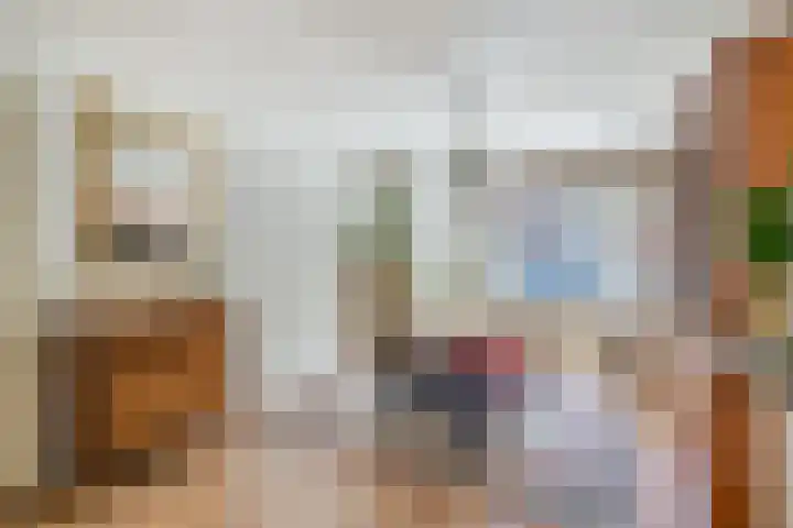 Snipstraat 19 Utrecht thumbnail 8