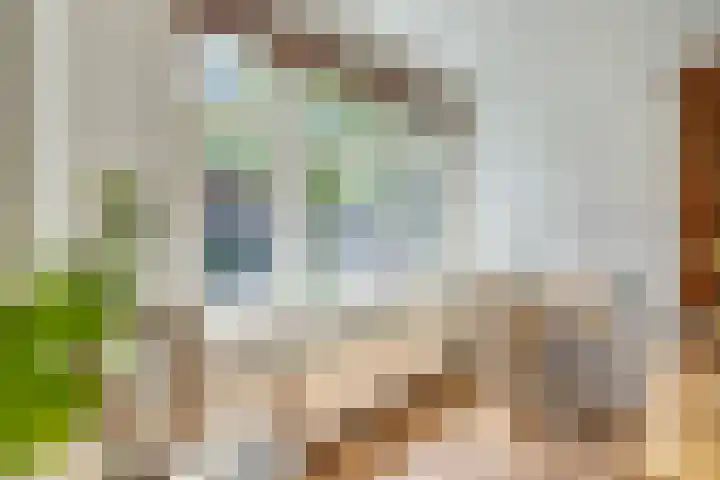 Snipstraat 19 Utrecht thumbnail 9