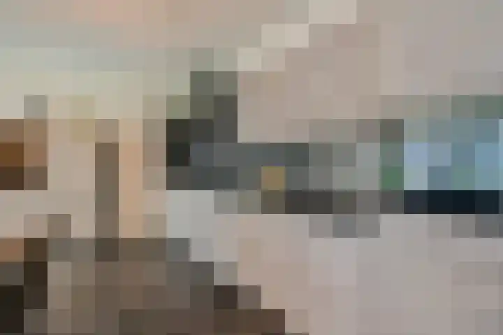 Snipstraat 88 Veenendaal thumbnail 13