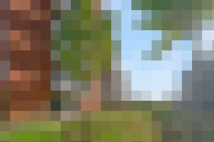 Snipstraat 88 Veenendaal thumbnail 23