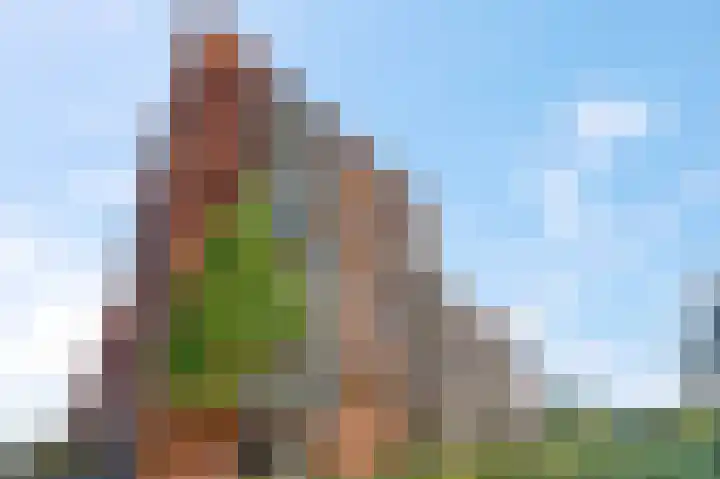 Snipstraat 88 Veenendaal thumbnail 24