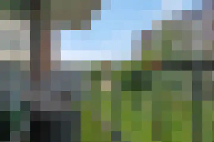 Snipstraat 88 Veenendaal thumbnail 4