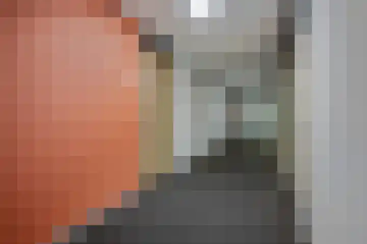 Snipstraat 88 Veenendaal thumbnail 5