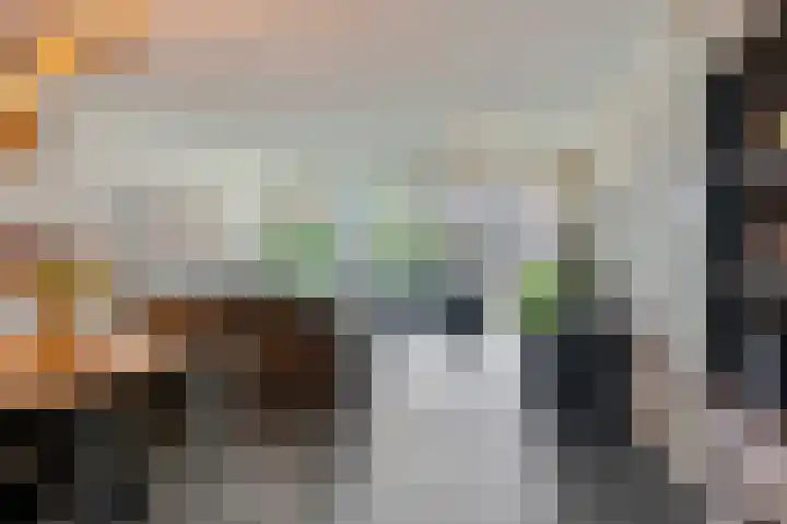 Snipstraat 88 Veenendaal thumbnail 7