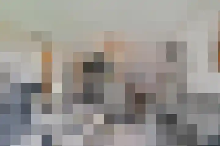 Snipstraat 88 Veenendaal thumbnail 8