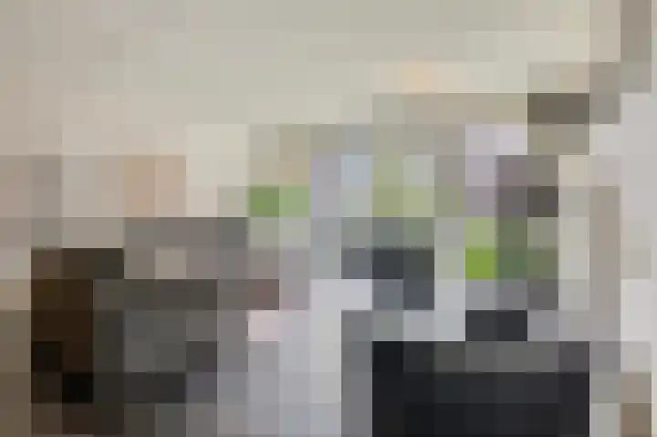 Snipstraat 88 Veenendaal thumbnail 9