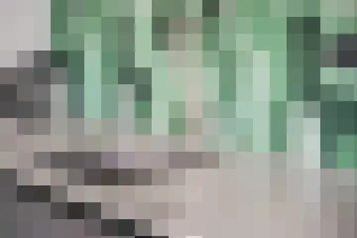 Snipstraat 90 Veenendaal thumbnail 12