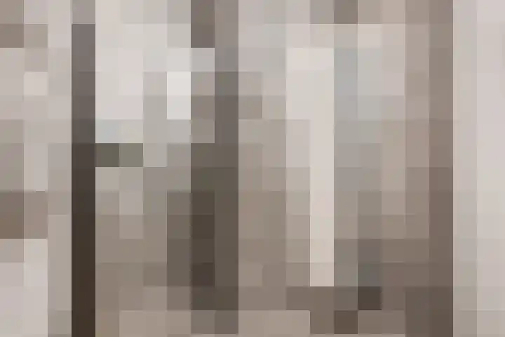 Snipstraat 90 Veenendaal thumbnail 17
