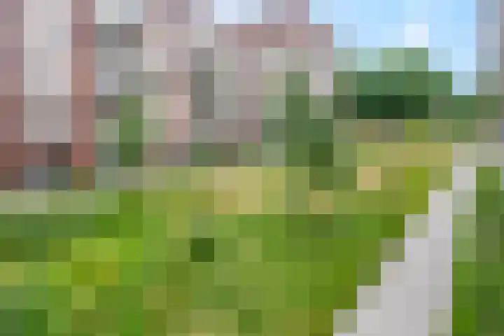Snipstraat 90 Veenendaal thumbnail 21