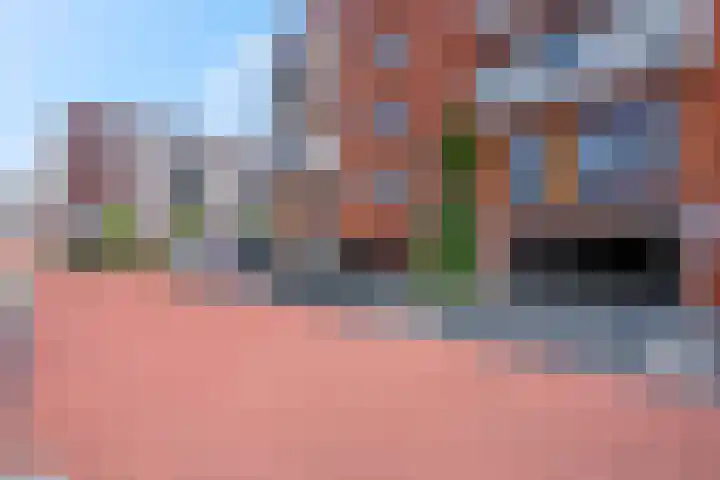 Snipstraat 90 Veenendaal thumbnail 22