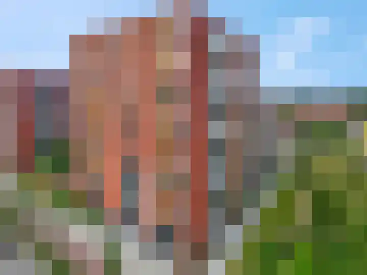Snipstraat 90 Veenendaal thumbnail 23