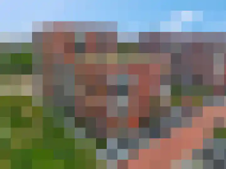 Snipstraat 90 Veenendaal thumbnail 4