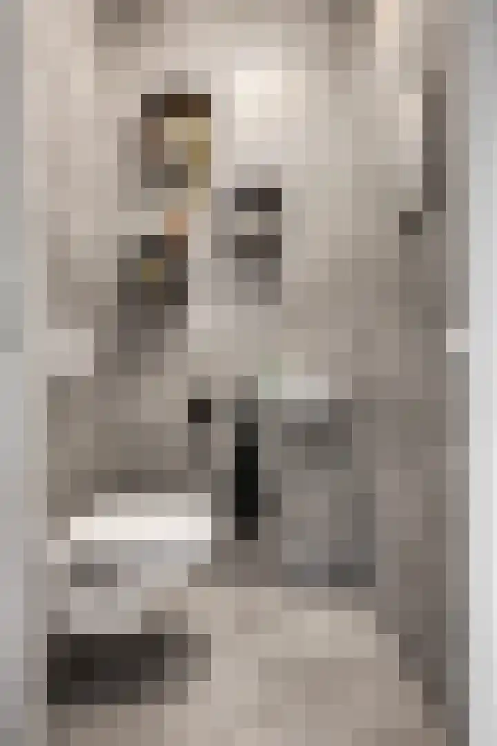 Snipstraat 90 Veenendaal thumbnail 8