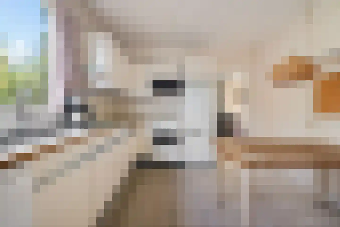 Snipstrjitte 2 Stiens thumbnail 10