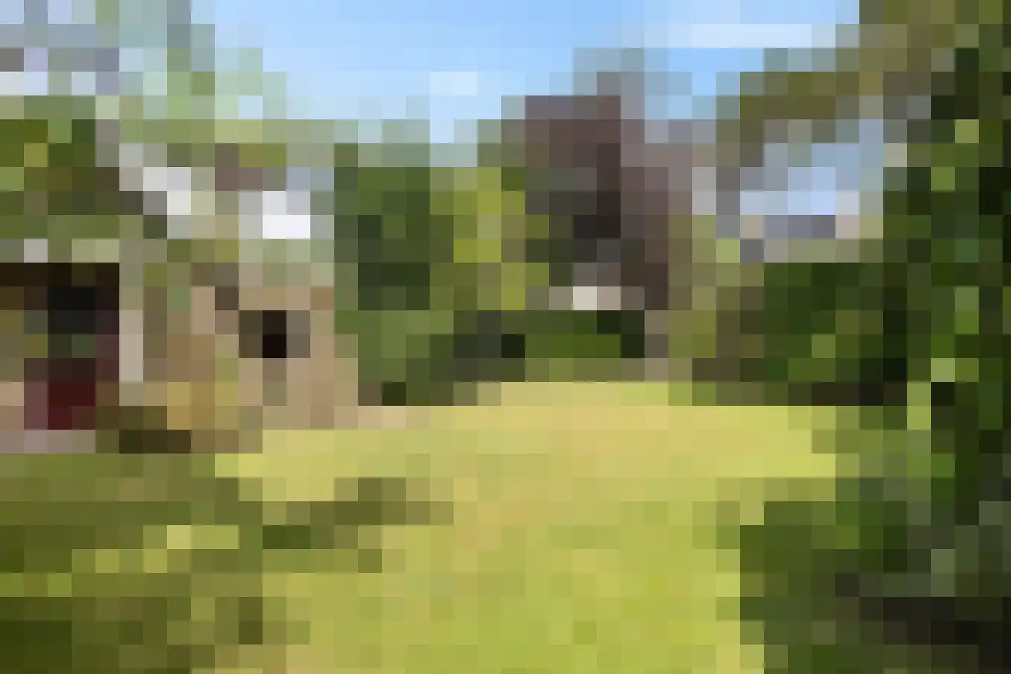 Snipstrjitte 2 Stiens thumbnail 30