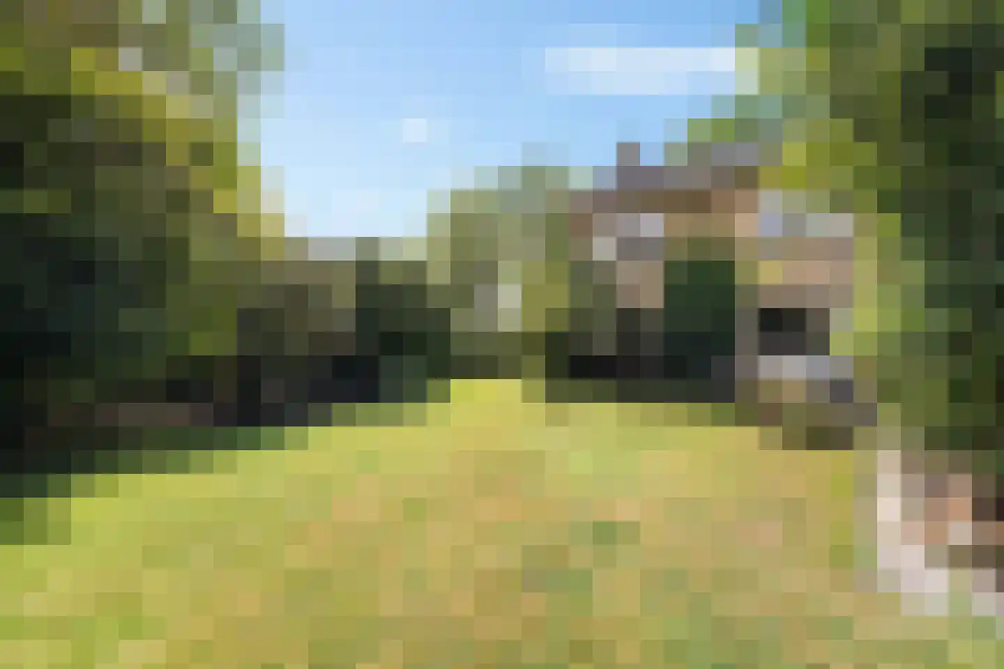 Snipstrjitte 2 Stiens thumbnail 31